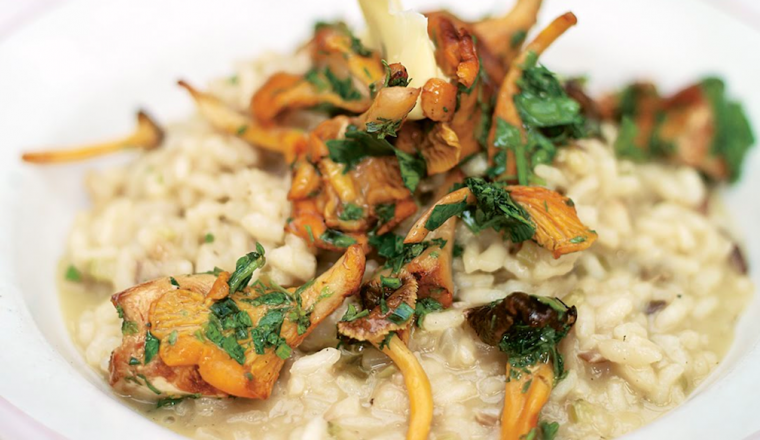 paddenstoelen risotto